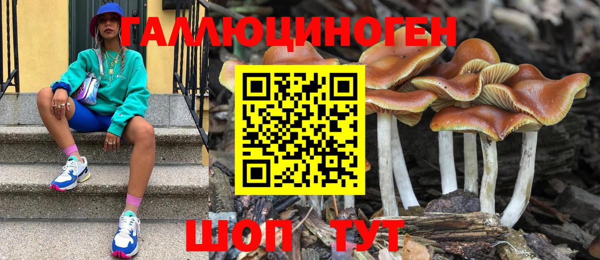где можно купить наркотик  Псилоцибиновые грибы прущие грибы  Вход с VPN  Сокол 
